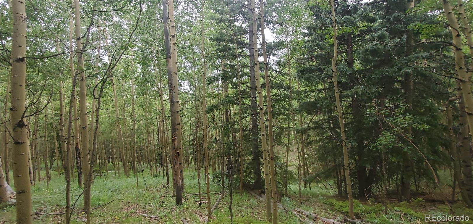 Lot 6882 Donna Road