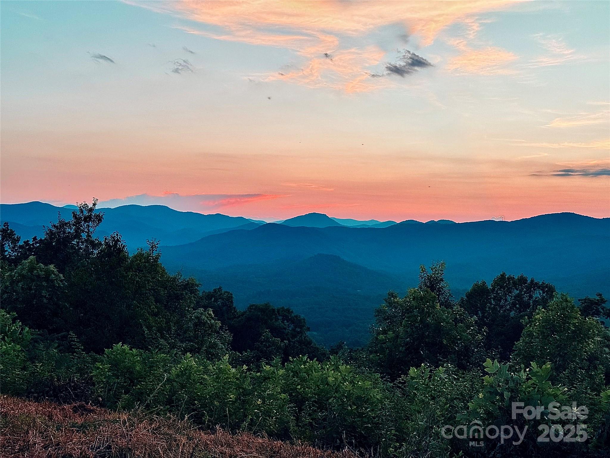 The sheer canvas Mother Nature has created here would only be limited only by your imagination! The PANORAMIC MOUNTAIN VIEWS will take your breath away - 100-mile, long-range mountain vistas stretch across Western North Carolina, changing with the light of day and the seasons. Morning mists roll through the valleys, golden sunsets drape the ridges, and nighttime skies sparkle with stars—all from your future front porch or deck. The MAJESTY of these layered mountains is something that can only be FELT in person; photos simply can’t capture the awe. Call or text today for a private tour of this extraordinary property and prepare to be inspired. 

With the uniqueness, the property features a HIKING/MOUNTAIN BIKING TRAIL that winds its way through the lower portion of the land, leading to a truly PERSONAL EXTRAORDINARY destination: a NATURAL CAVE with crystal-clear, teal aquamarine water. Imagine exploring your own hidden wonder, or welcoming family & friends to share the adventure—it’s a showpiece that makes this tract unforgettable. Whether you use it for recreation, conservation, or simply as a personal retreat, it’s an amenity very few properties can offer.

Don’t just imagine standing at the edge of 100-mile mountain vistas or stepping into your own cave sanctuary—come see it in person! 
Own your very own slice of mountain countryside—where nearly 100 acres of layered ridgelines, sweeping vistas, and rare natural wonders converge into a one-of-a-kind opportunity. Welcome to Shoal Ridge, a property that feels like your own private nature park yet is ready for your dream vision with road access, underground power, and shared well water already in place for multiple lots!

This tract consists of approximately 5 parcels of 19–20± acres each, totaling close to 100 acres. Each parcel boasts incredible homesite potential, privacy, and direct access via the established road system. Utilities are already in place with underground electricity and a shared well(*The 5 lots on Shoal Ridge), making the land not just beautiful but also build-ready. Keep it as one expansive private estate, or take advantage of the ability to subdivide and develop multiple homesites—the flexibility is yours.

The land itself is a playground of possibilities. Build a grand estate, multiple cabins, or even create a community of private retreats. With its size, seclusion, and variety of terrain, the property offers opportunities for multiple uses, gardening, homesteading, or even more adventurous ideas—a helipad or small landing strip, perhaps?!?!? 

While Shoal Ridge feels worlds away, you’ll have peace of mind knowing it sits within a secure, gated community—with the freedom of no restrictions. Privacy and security are paired with the convenience of accessibility. You’re within easy driving distance to Hendersonville, Lake Lure, Chimney Rock, and Asheville, plus major airports in Greenville/Spartanburg (GSP), Asheville (AVL), and Charlotte (CLT). Local shopping, groceries, and dining are also just a short trip away, so you don’t have to sacrifice convenience for seclusion.

Optional purchase: up to 170± acres total, including a private 175-ft waterfall, pond, and additional parcels (see other MLS#s)

Shoal Ridge isn’t just land—it’s a lifestyle, an adventure, and an investment in something truly irreplaceable. Whether you’re a visionary builder, an investor, or simply seeking your own mountain sanctuary, this property offers possibilities as expansive as its views. Secure gated community with no restrictions - uses an easement through New Forest Mountain.

Recap: 
+/-100-mile long-range layered mountain views
Nearly +/-100 acres divided - 5 parcels (approx. 19–20± acres each)
Trail system leading to a unique natural cave with aquamarine water
Road access, underground power, and shared well water already in place
Multiple cleared homesites with unmatched privacy and views
Option to keep as one estate or subdivide into individual parcels
