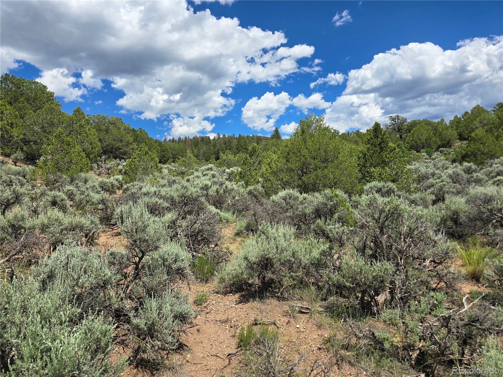 7572 Dashiell Road