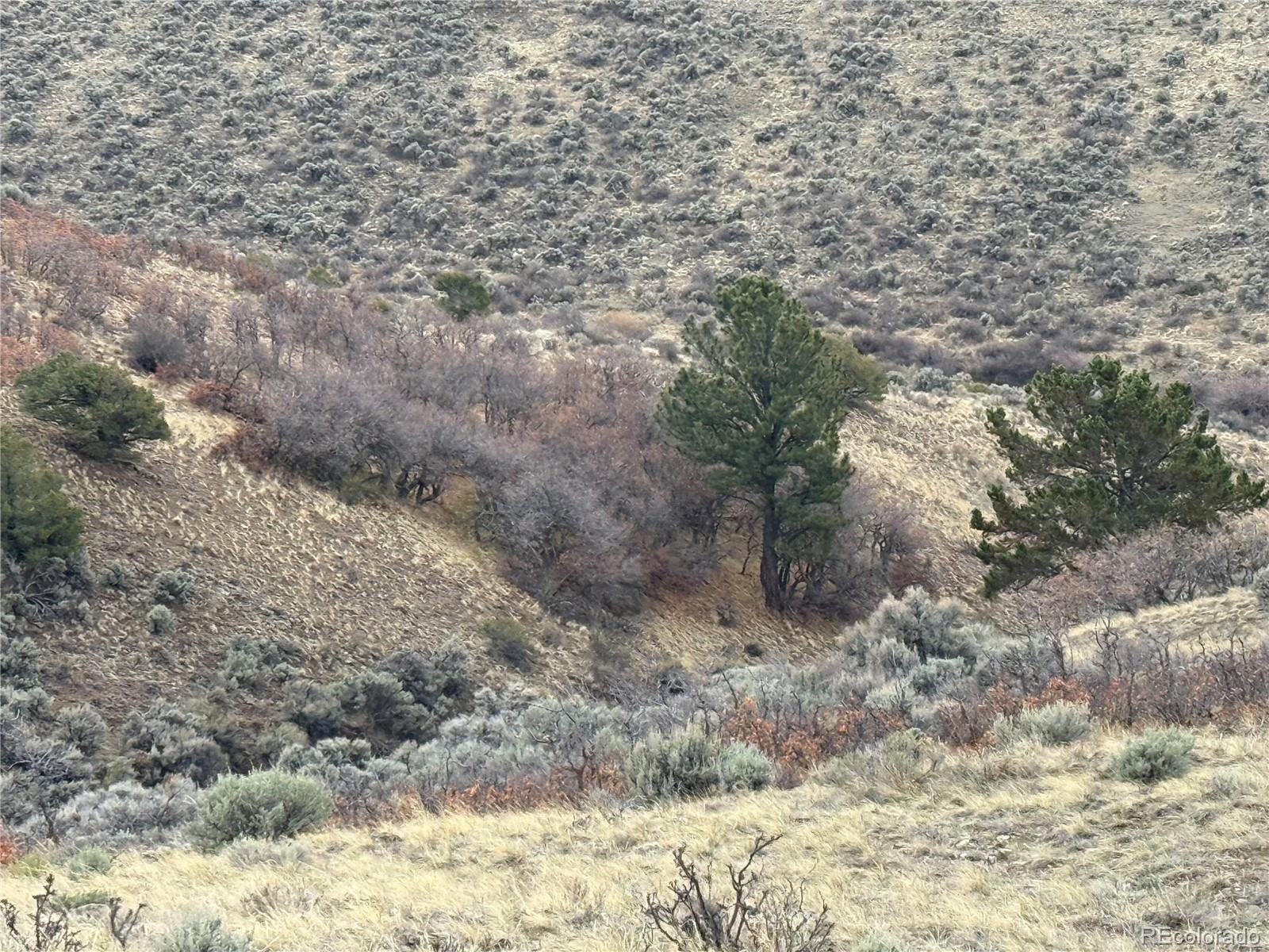 Lot 297 Boothby Lane