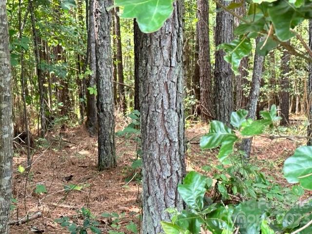 100 Shortoff Trail NW