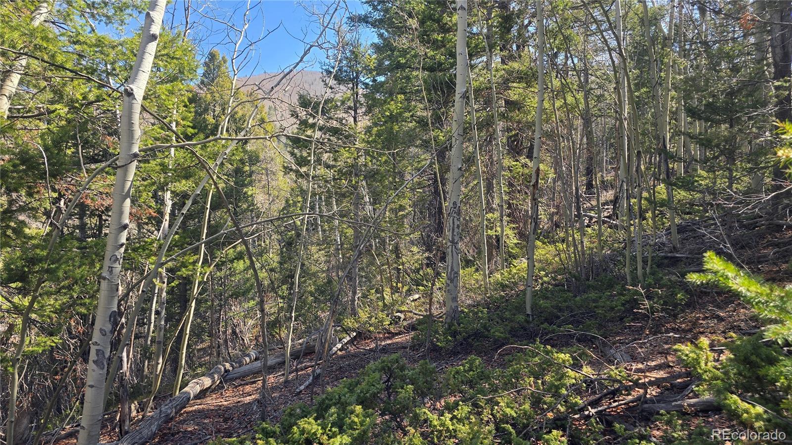 Lot 6708 Debbie Road