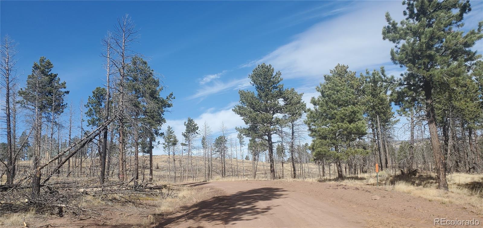 Lot 585 Leslie Loop