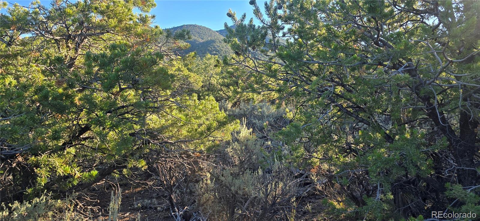Lot 1361 Dunn Road