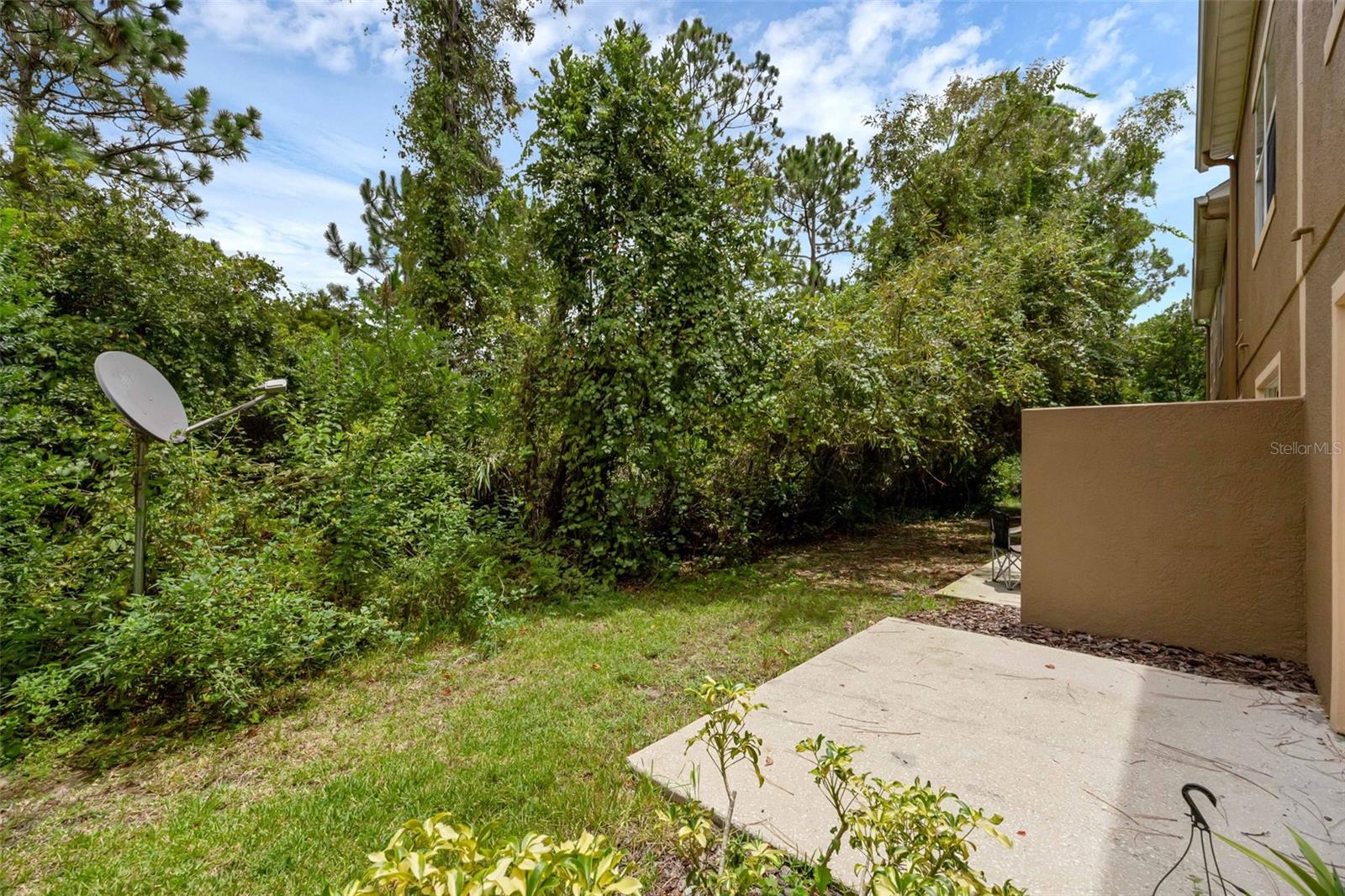 4587 Lacebark Trail