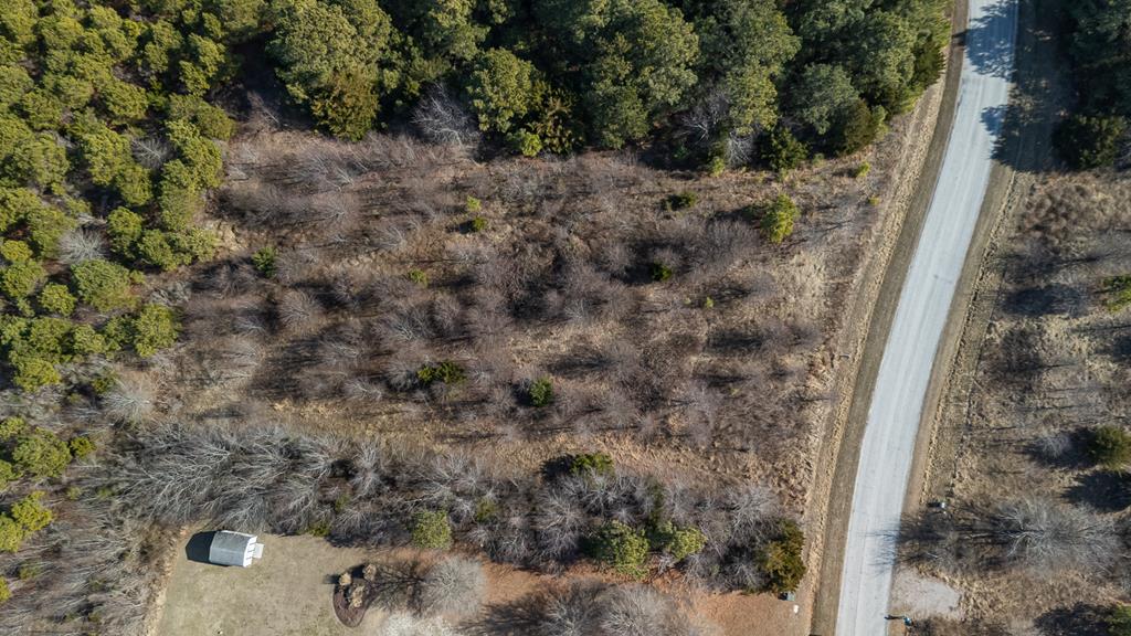 Lot X Butler's Bluff Dr Lot X