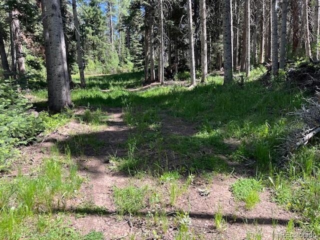 Lot 2684 Coder Place