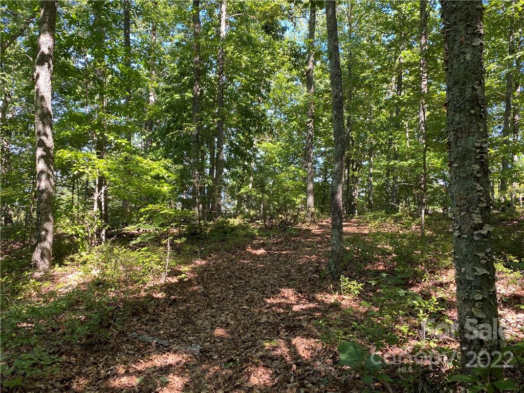 362 Mossy Oak Trail 128