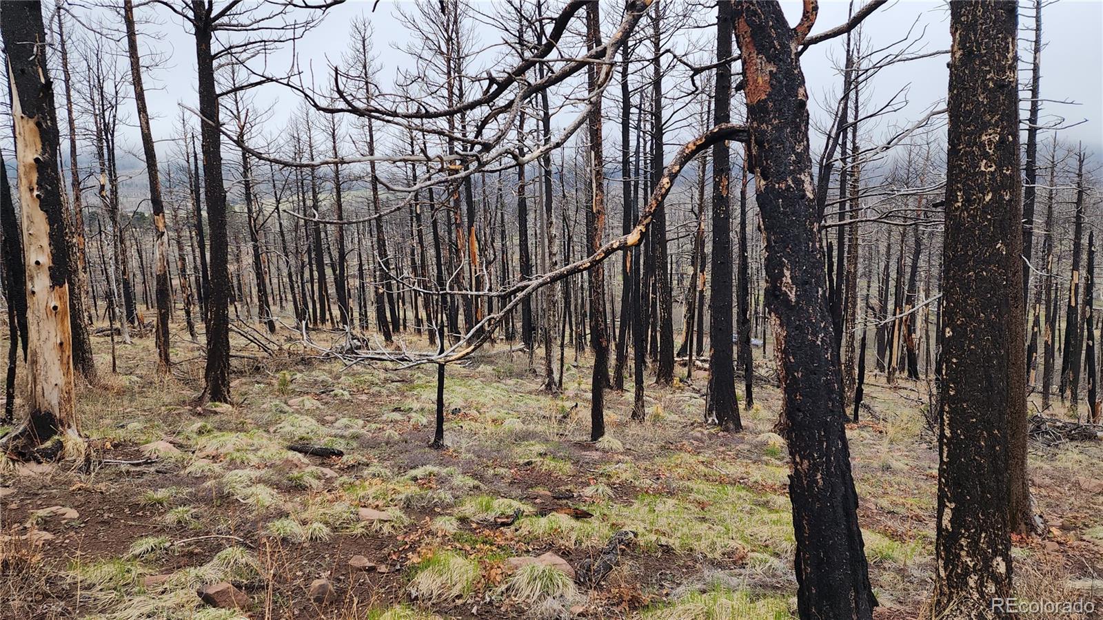 Lot 1735 Mara Loop