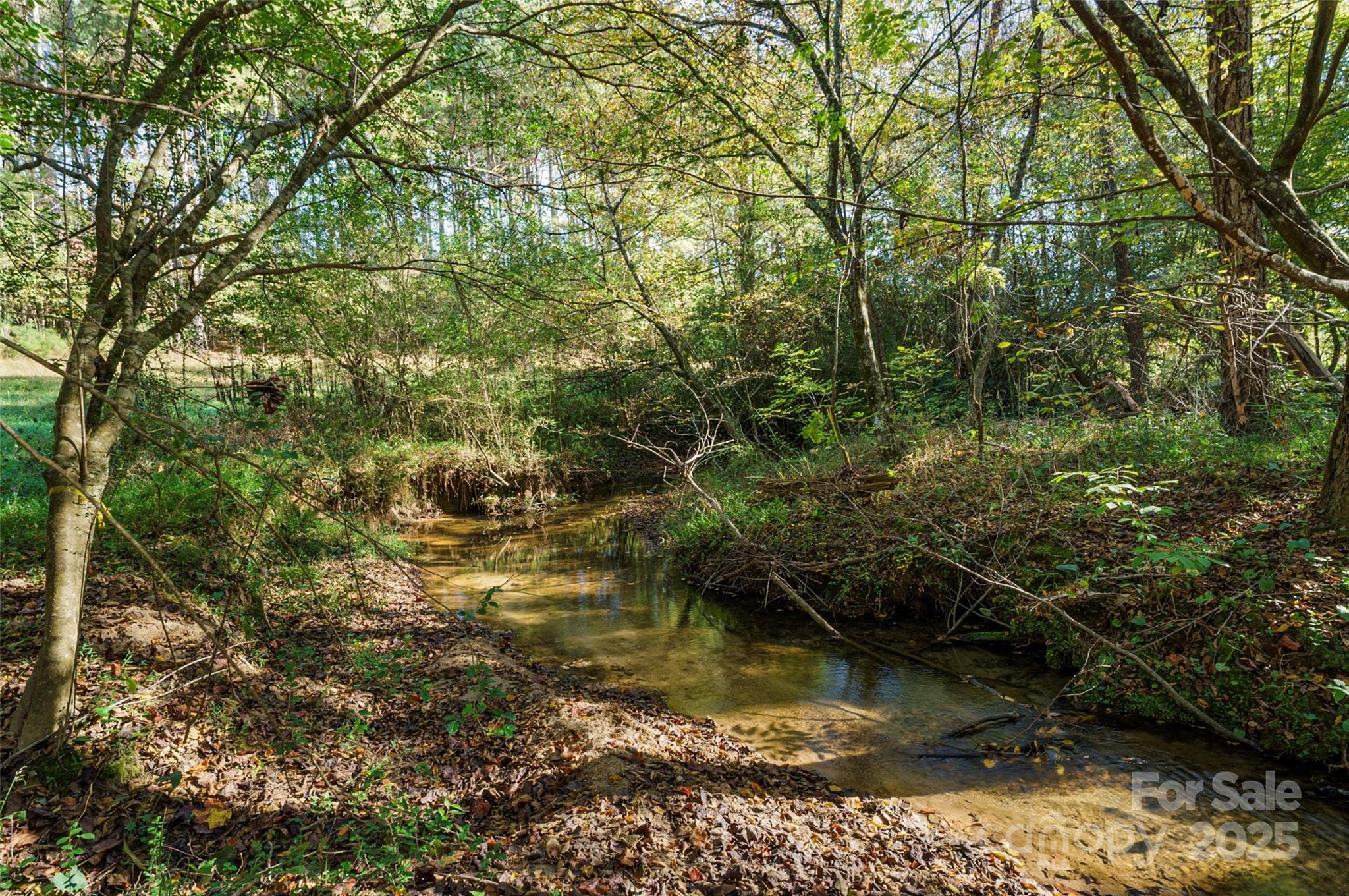 96 Patton Valley Drive