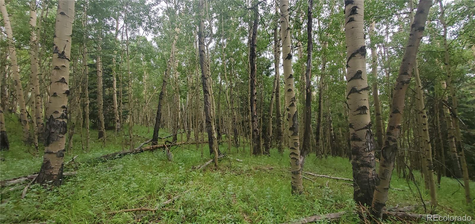 Lot 6882 Donna Road