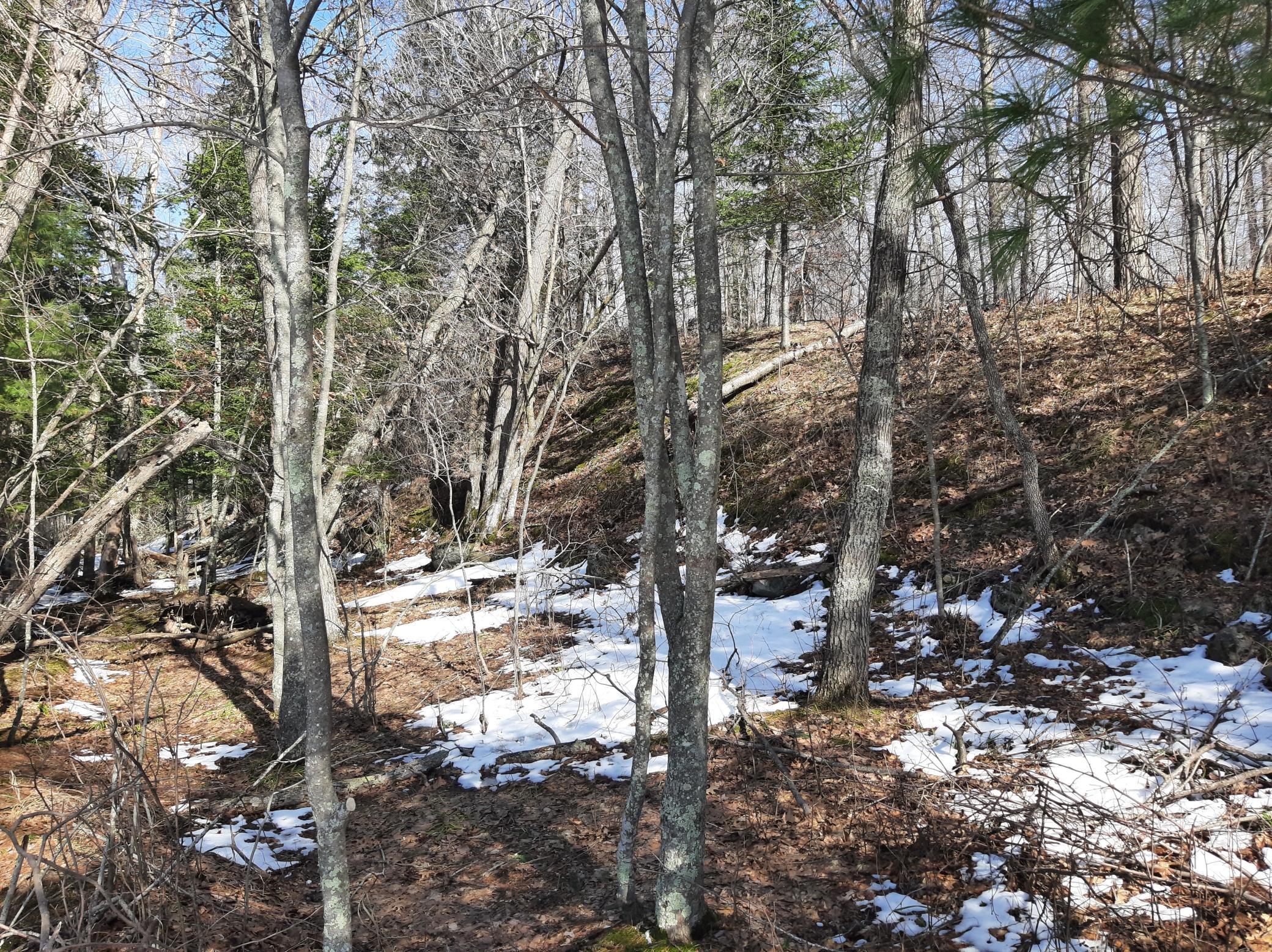 TBD Washburn Bay Trail NE