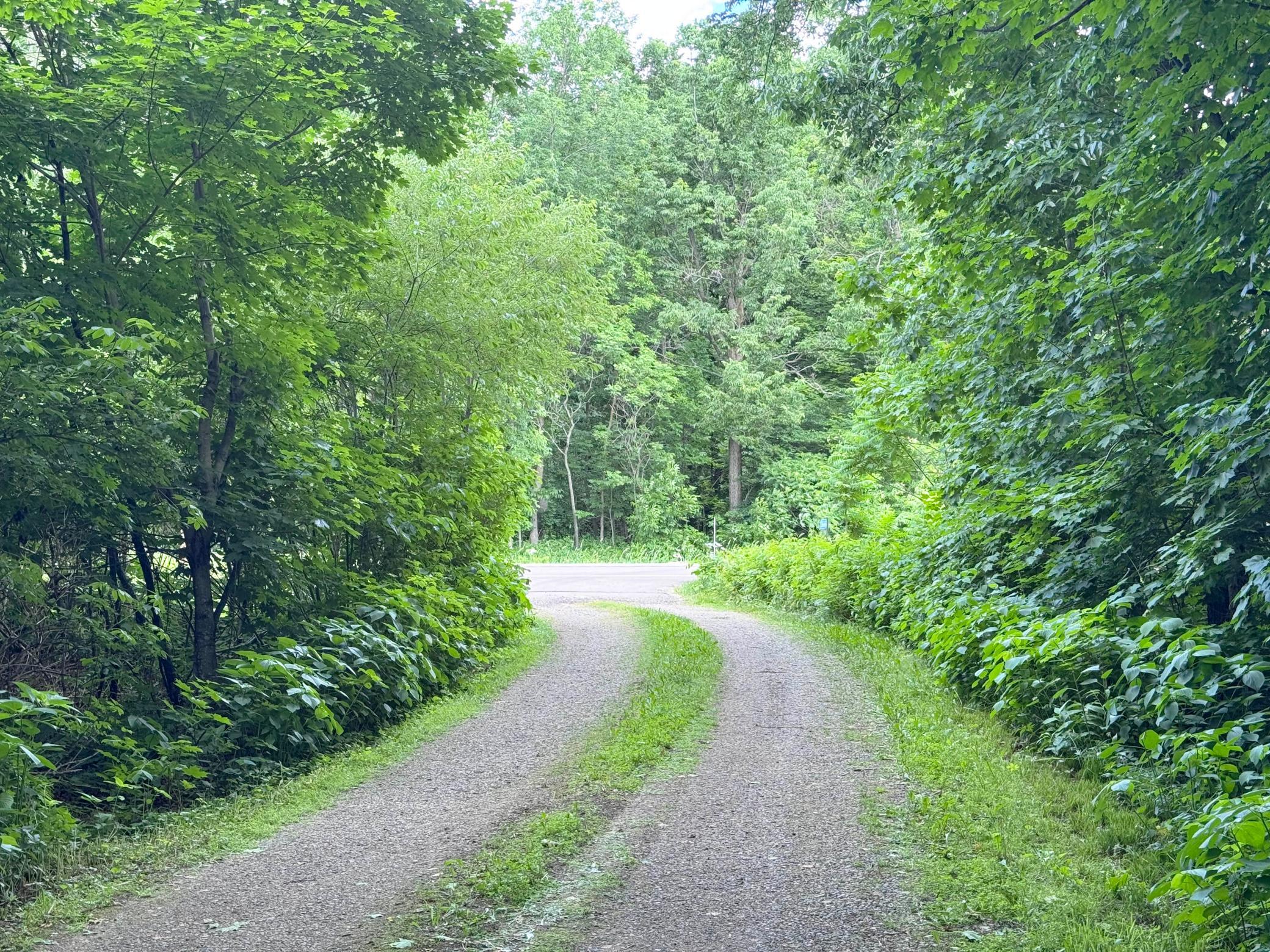36661 State Highway 18