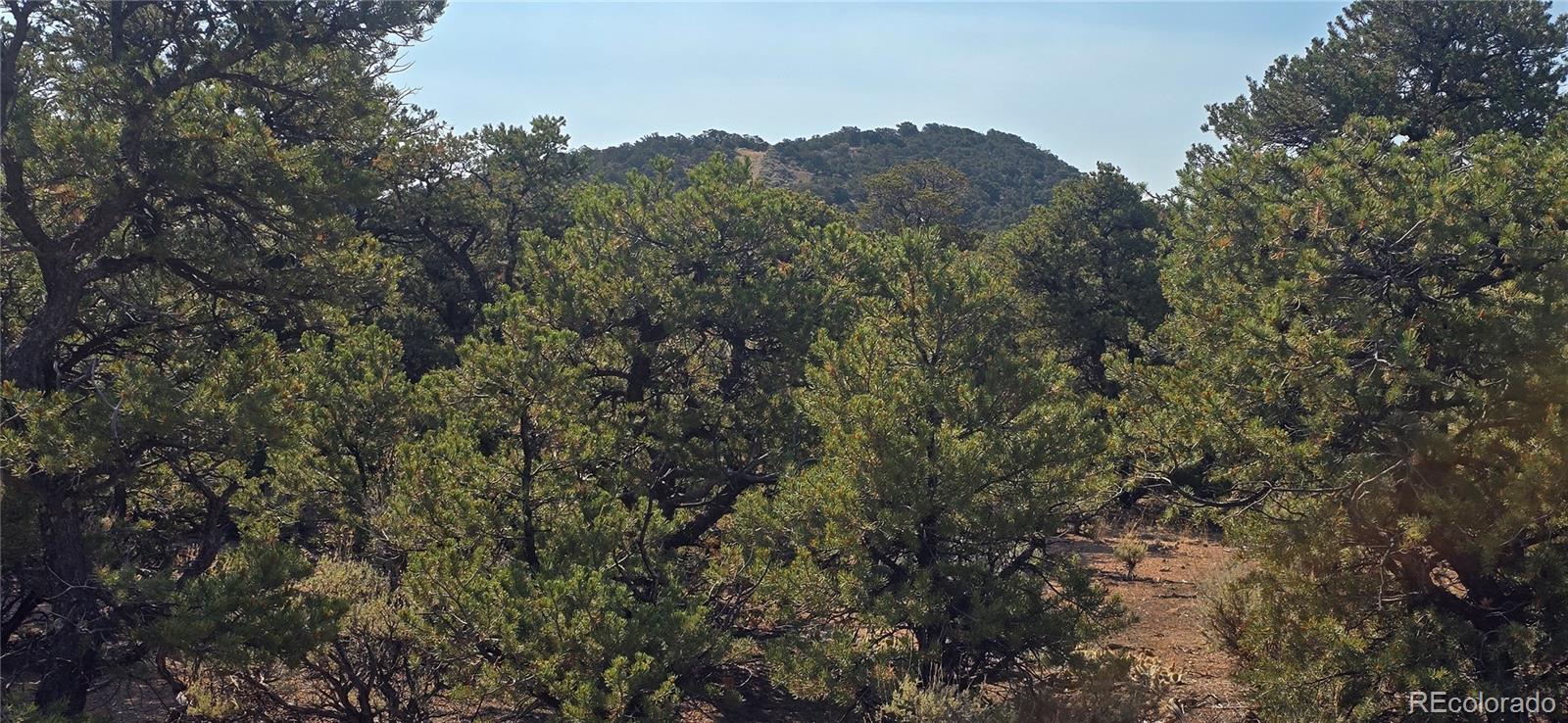 Lot 1659 Slegers Circle