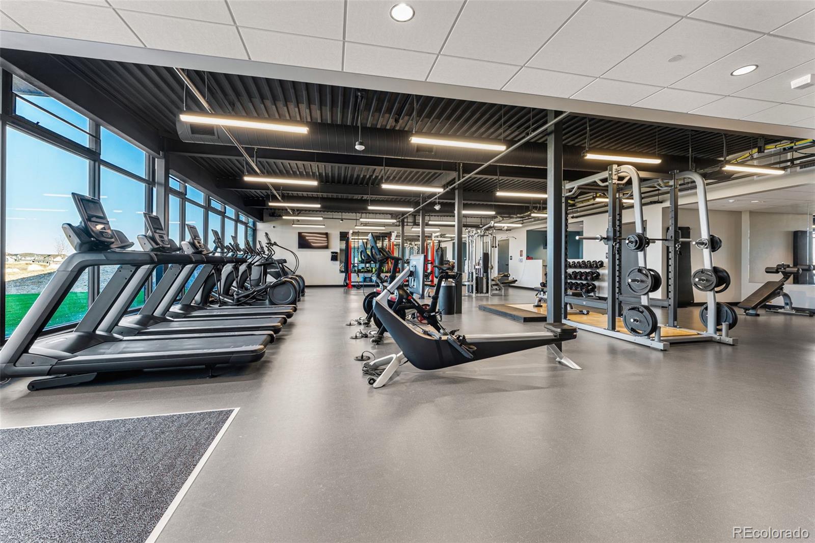 3813 Freestone Point