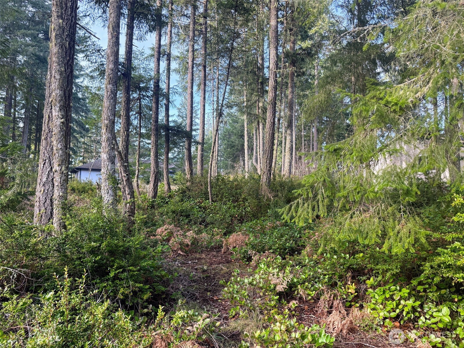 40 E Paint Brush Lane