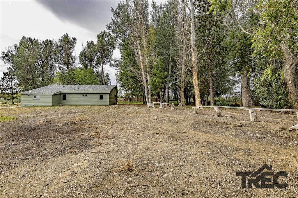 1151 Lane 6