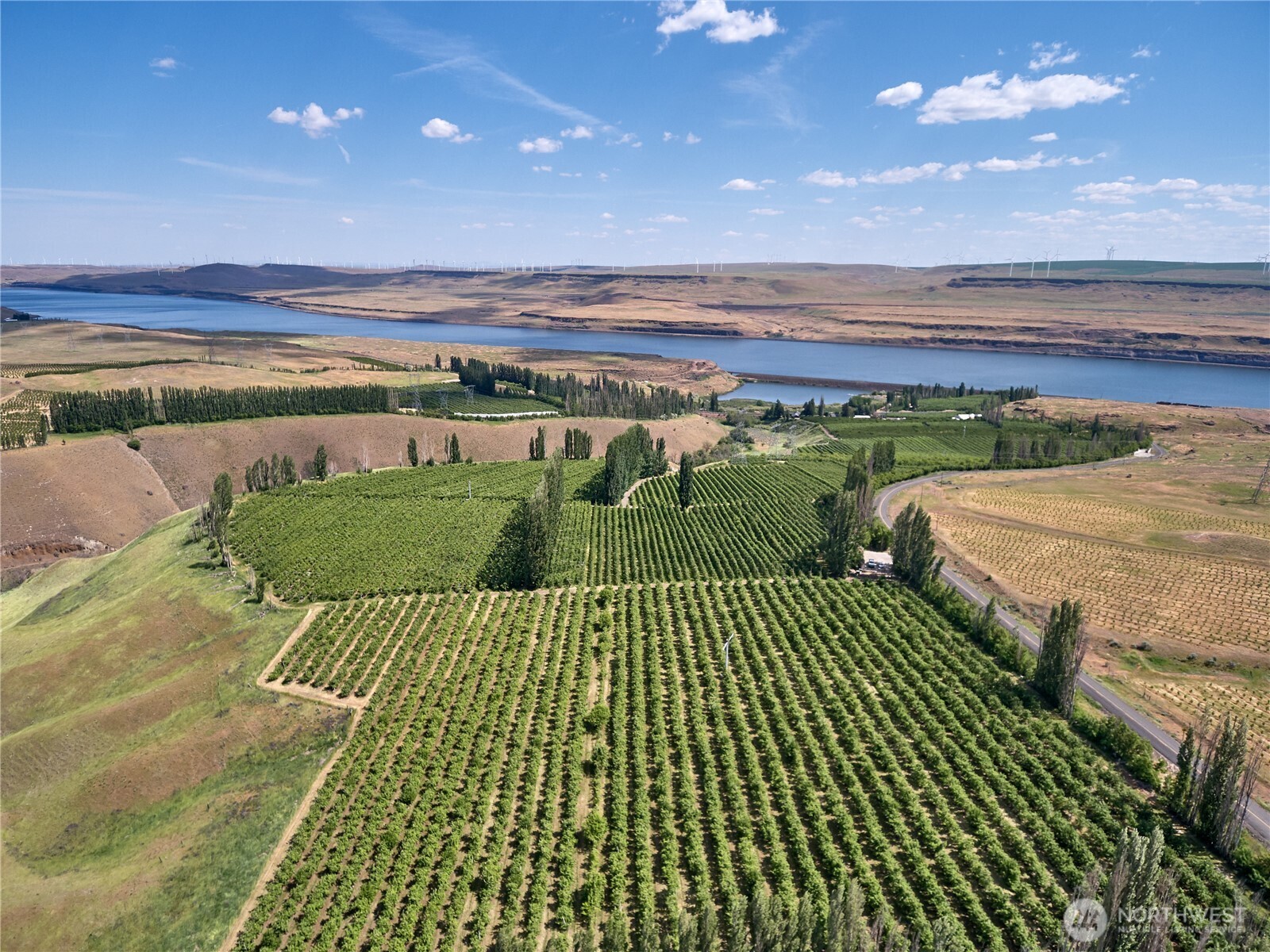 Sundale Fruit Company is comprised of approximately 334 acres adjacent to the Columbia River just west of Roosevelt WA. The acreage is planted to high-density apple, cherry and pear orchards. Elevations range from 285ft to 625ft with an early micro-climate which produces some of the earliest and most valuable fruit in the Northwest. Varietals include: Apples - Honey Crisp, Buckeye Gala, Granny Smith, and Fuji; Cherries - Bing and Coral Champagne; Pears - Bartlett and Anjou. The property features extensive housing infrastructure including a 3300 sq ft owners residence, manager's residence, foreman's residence, and numerous housing options for workers as well as H2A labor housing.