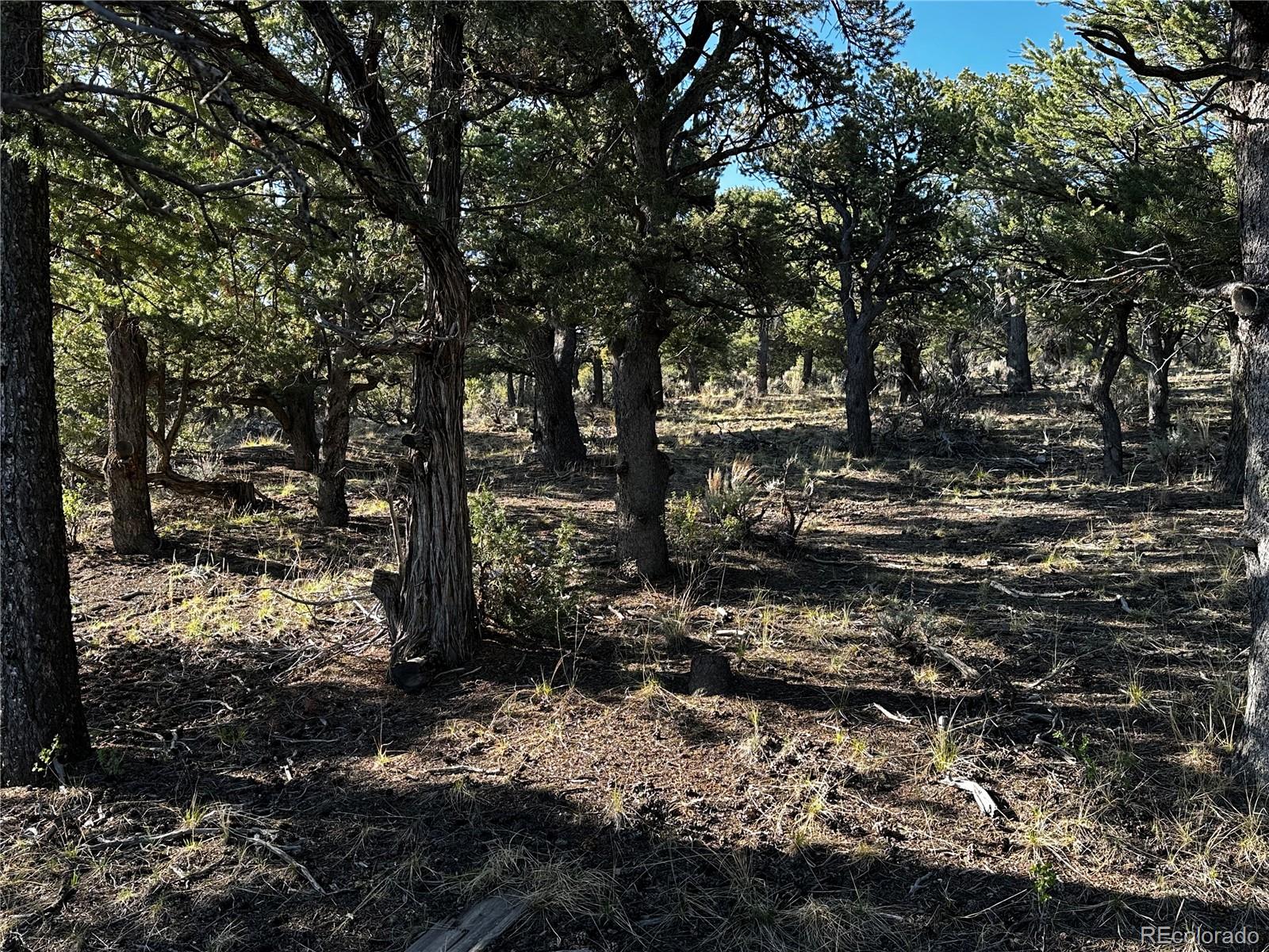 Lot 7870 Platten Road