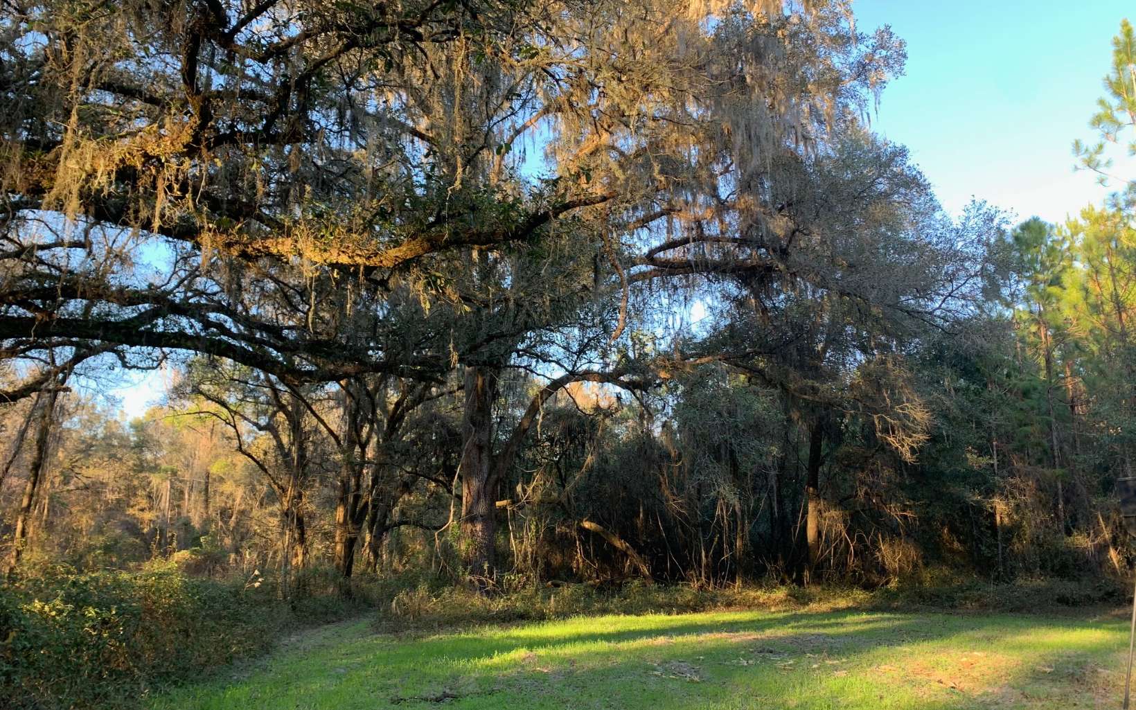 North Florida Farms and Ranches for Sale