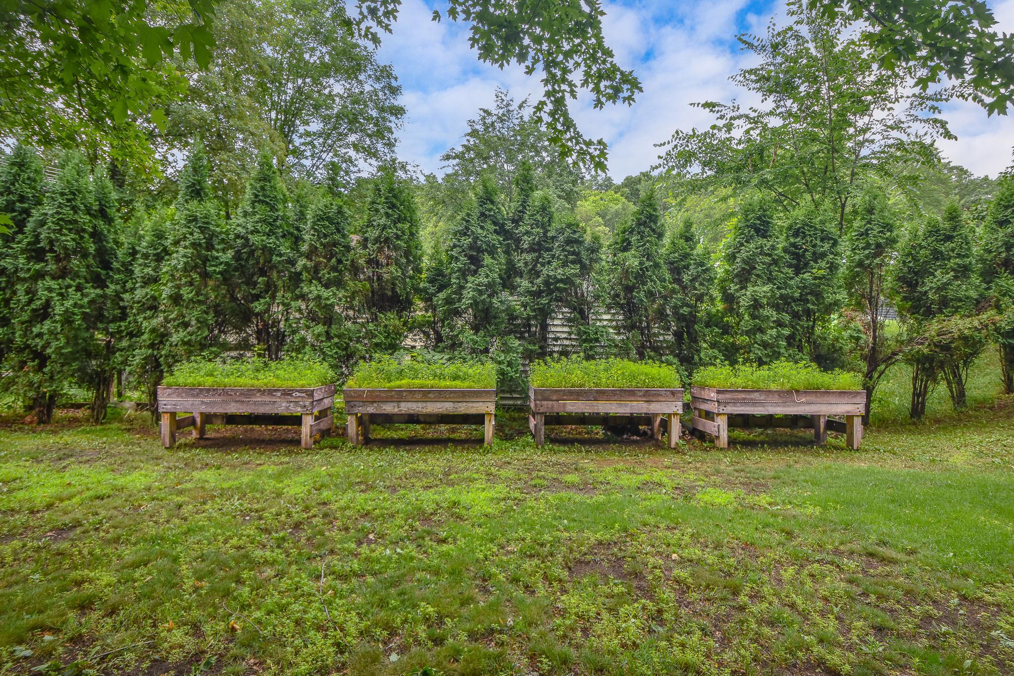 1615 Calvary Court