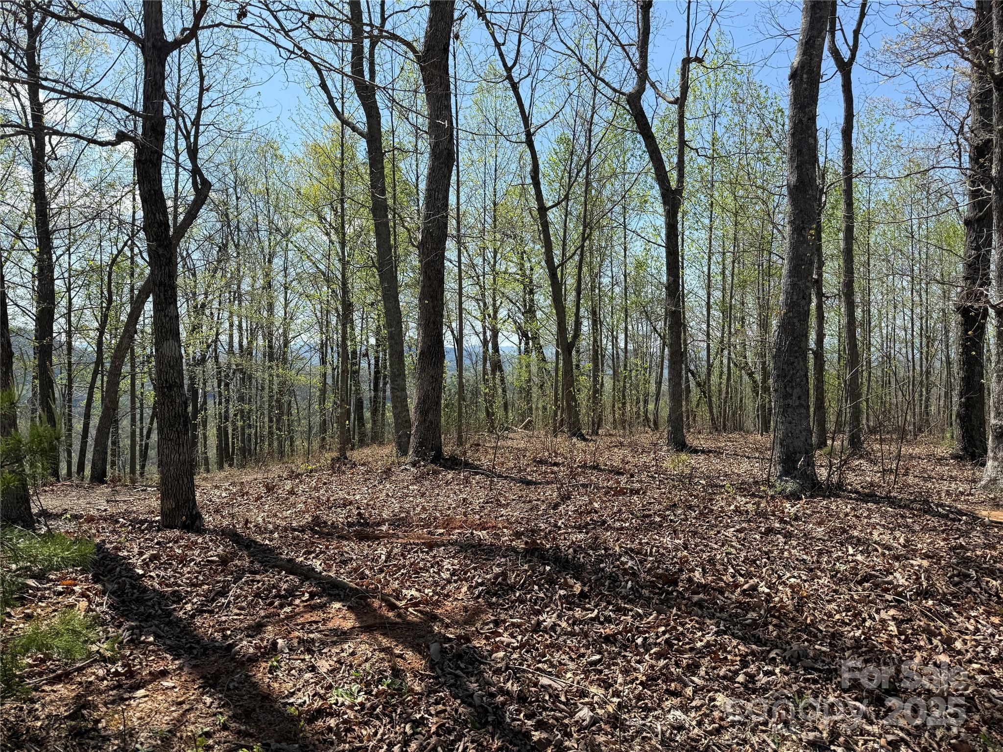 183 Woodgate Trail 103