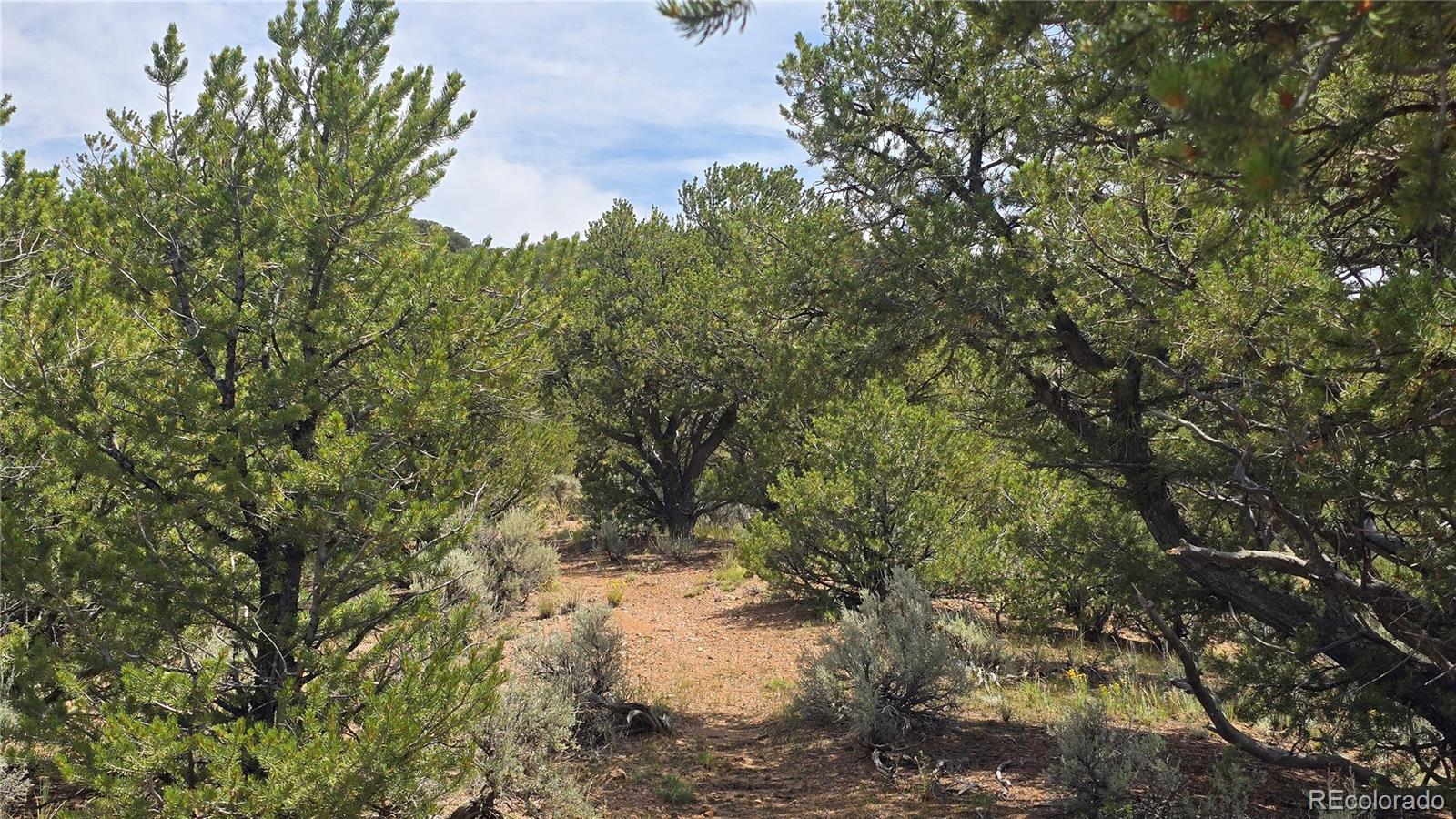 Lot 4435 Beekman Road