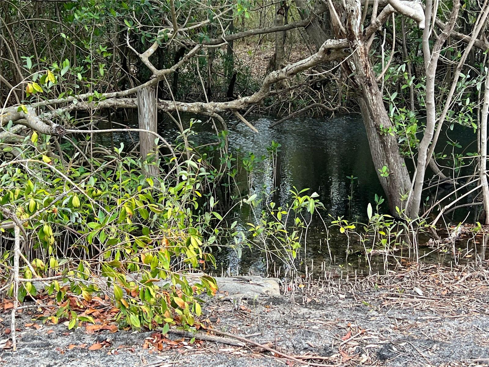 912 Piney Point Road