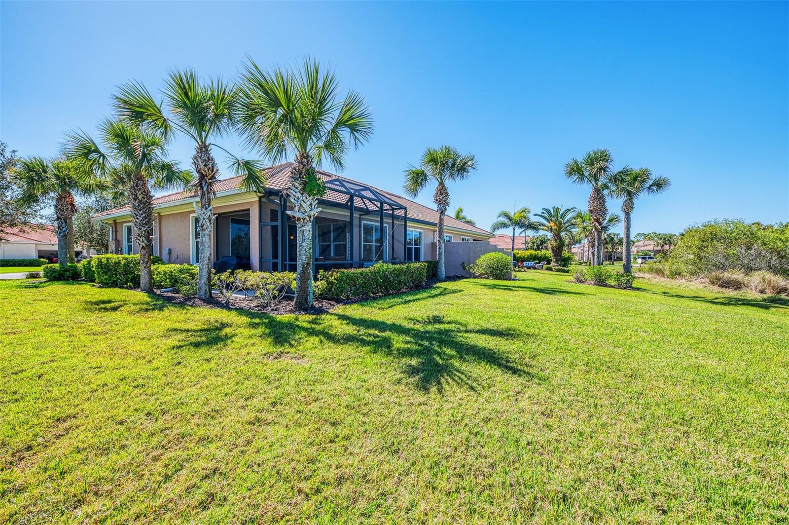 2625 Wax Myrtle