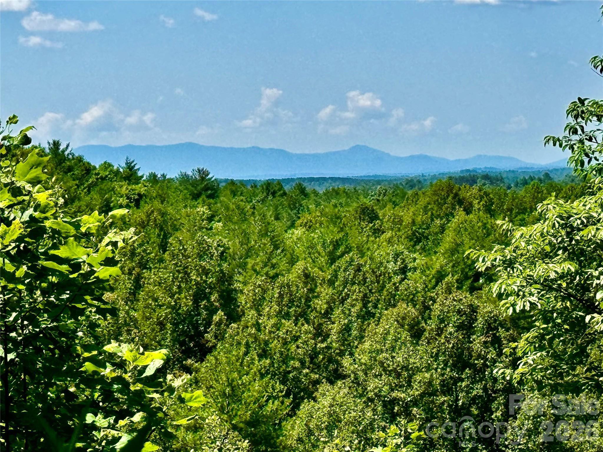 10 acres, Lot 528, Scenic Vista Trail 528