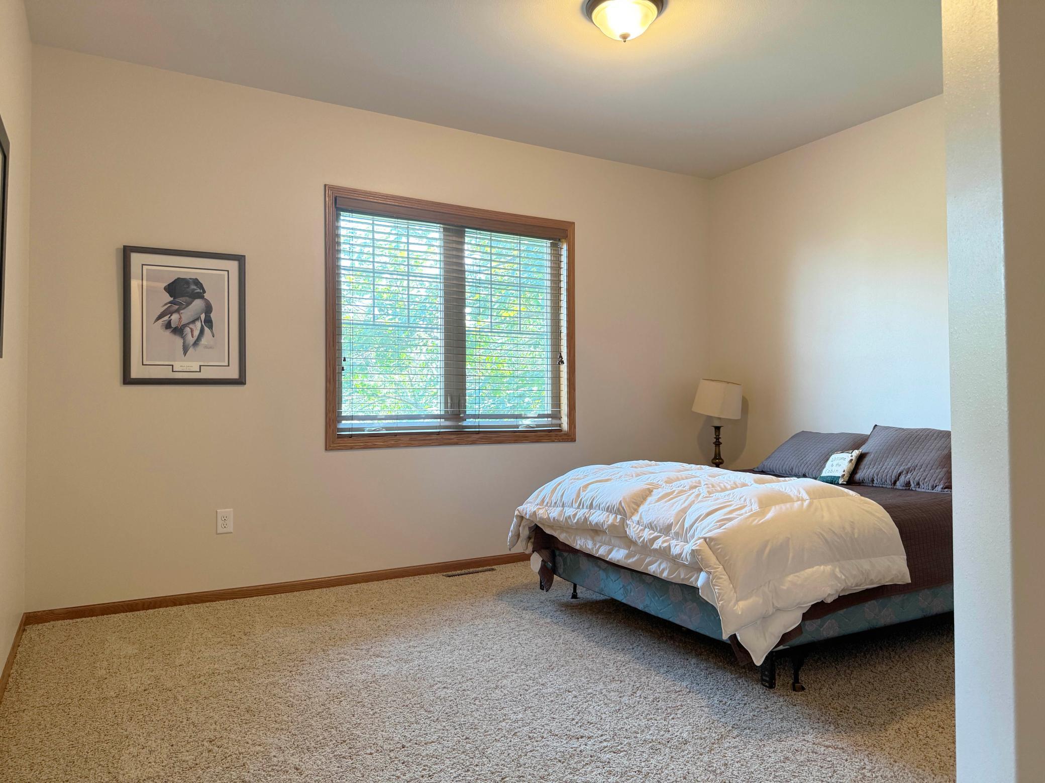 44205 Conifer Street