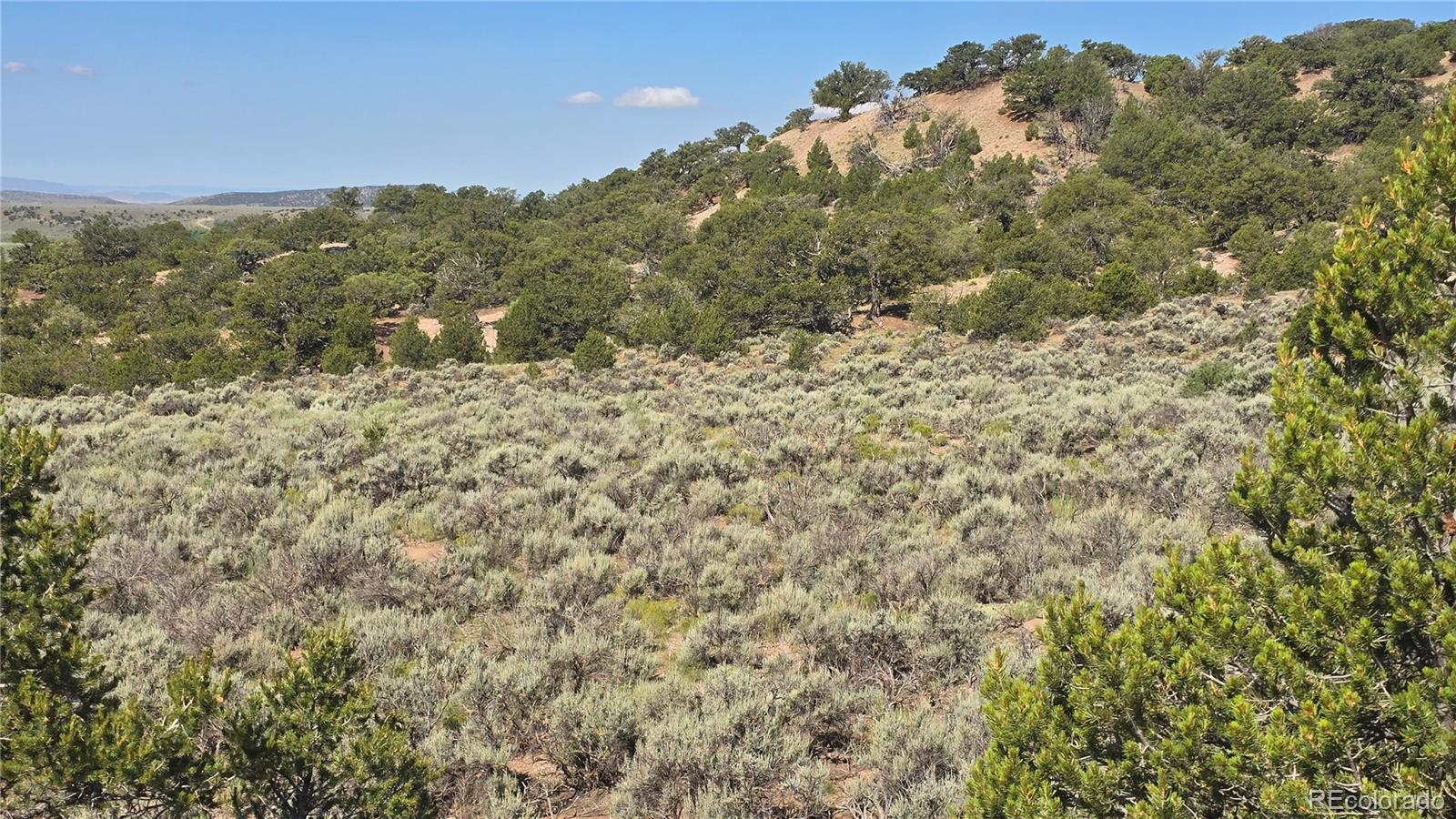 Lot 4296 Renfield Road