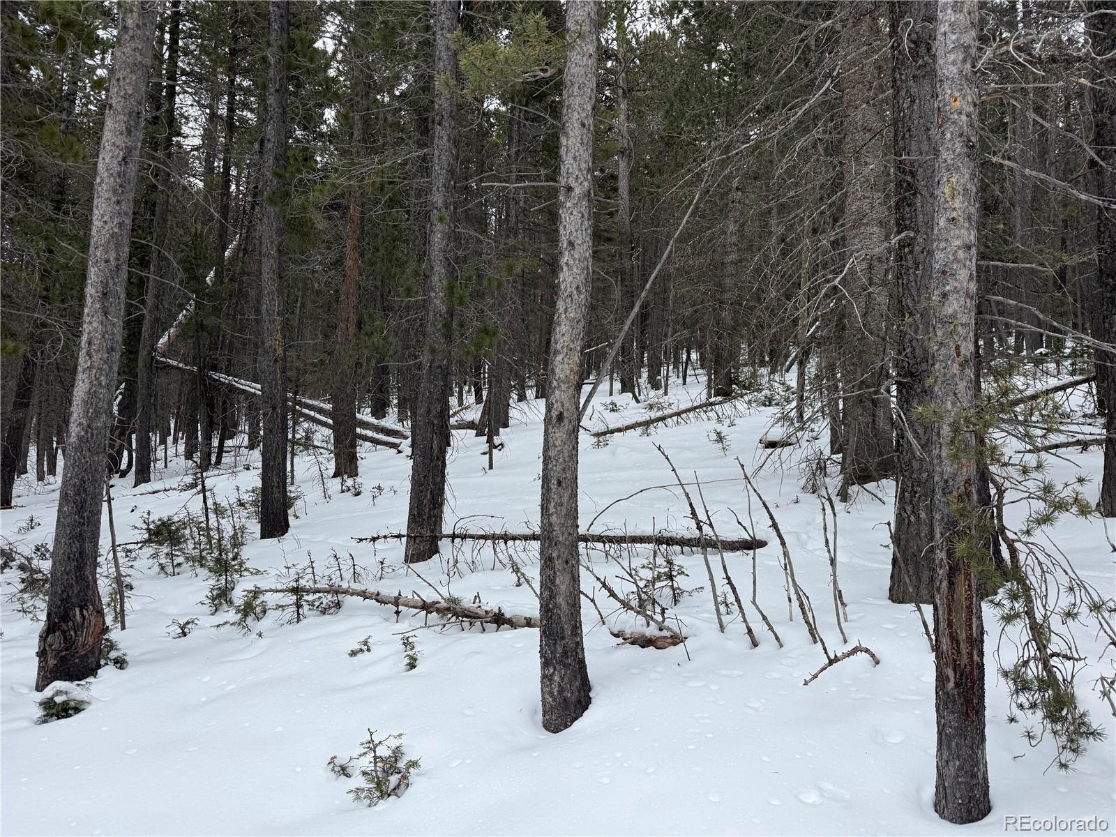 Lot 2759 Purnell Lane