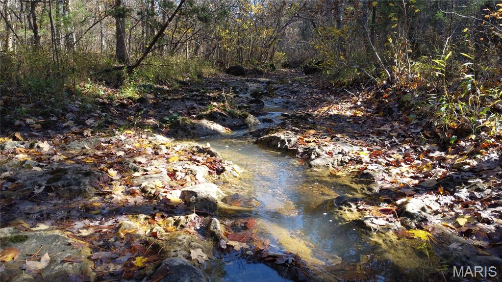 10256 Christina Trail