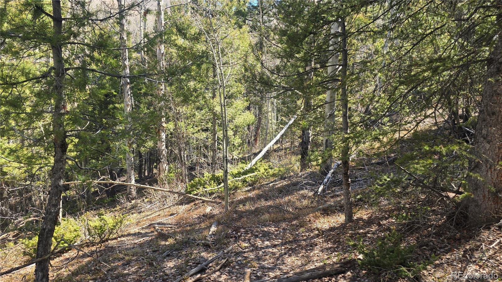 Lot 6708 Debbie Road