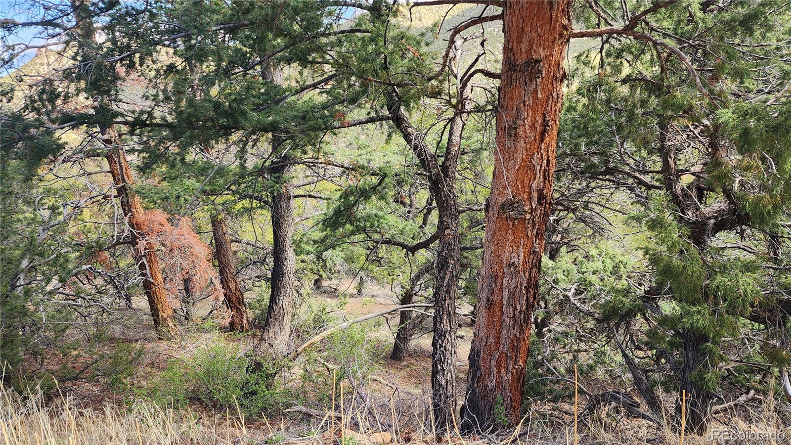 5040 & 5041 Mamouche Road