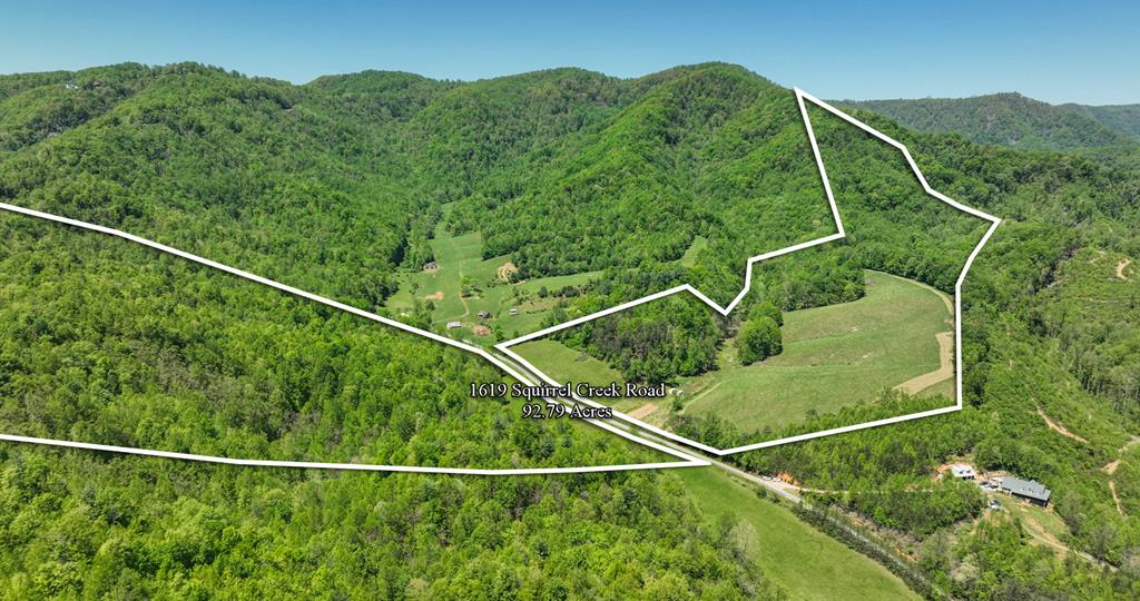 Discover the perfect mix of cleared pasture, untouched forest, creeks, streams, and a pond teeming with fish – all nestled on 92.79 acres of gorgeous, varied land. About 25% is cleared and ready for livestock, a hobby farm, or your dream homesite (soil testing already completed!). Offering stunning views throughout. The untouched forest at the ridge top offers prime hunting grounds, while an old historic pack house adds a touch of character to the property. Whether you envision livestock grazing in the pastures, a flourishing hobby farm, trails for riding and hiking, sustainable timber harvest, or simply a private sanctuary for hunting, fishing, and outdoor adventure – this property offers it all.