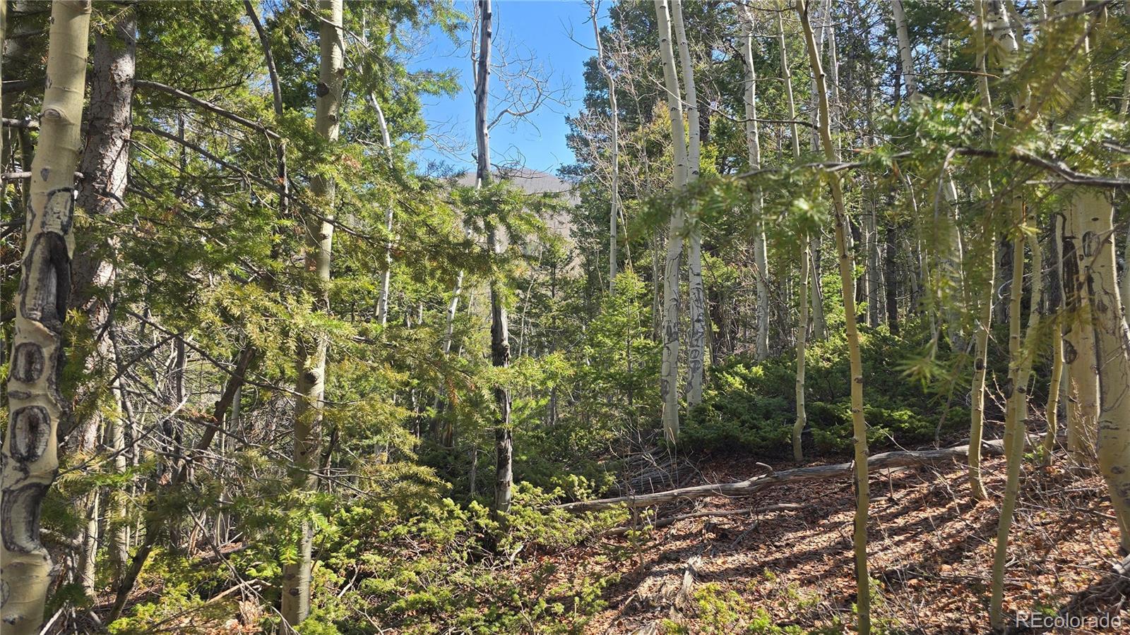 Lot 6708 Debbie Road