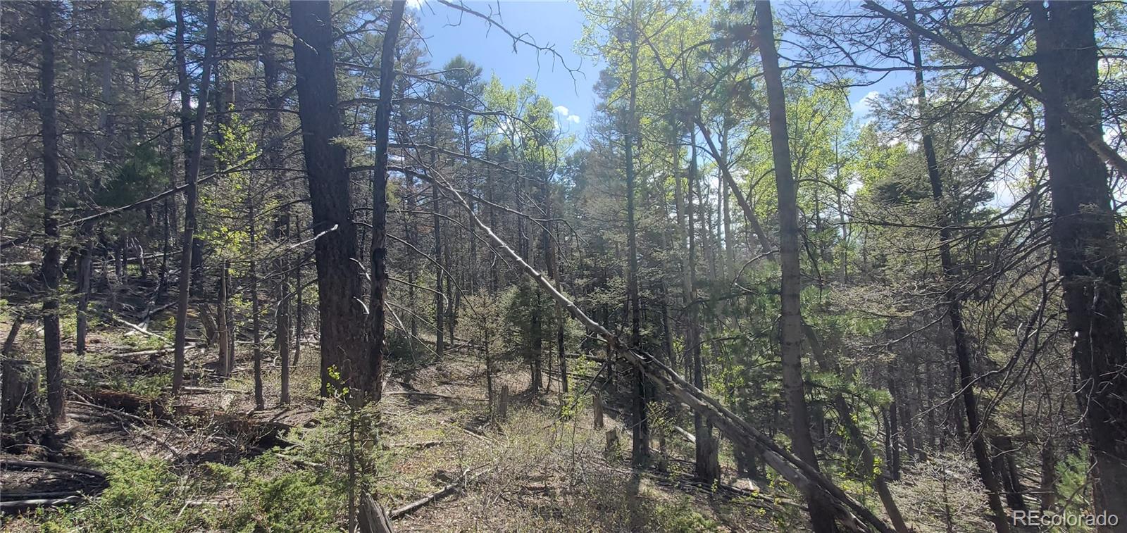 Lot 5610 Dawson Road
