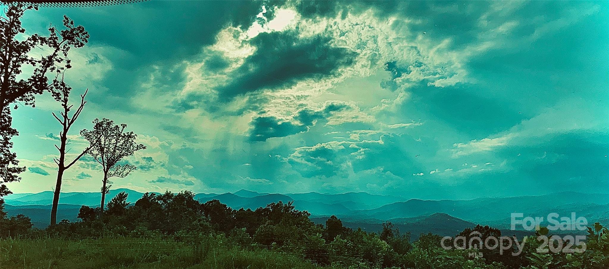 Shoal Ridge + Falls Road isn’t just land reaching over 160+ ACRES of pure Bliss & Sexiness! It’s not just an investment, it’s a LIFESTYLE and a LEGACY! From the moment you step onto the land, awe takes over! Morning mists rolling through valleys, golden sunsets spilling across ridges, and star-filled skies at night remind you that this is not just a property—it’s a living canvas painted daily by Mother Nature herself!!!

Indulge & don't just imagine standing at the edge of this ONCE-in-a-LIFETIME opportunity to own one of Western North Carolina’s most extraordinary mountain sanctuaries—Shoal Ridge + Falls Road combined, totaling over 160± acres of PURE natural WONDER! With +/-100-mile LAYERED MOUNTAIN VISTAS, SHOWERING BENEATH YOUR PERSONAL ±175-foot WATERFALL, OR EXPLORING A RARE TEAL-WATER/aquamarine CAVE, a man-made pond, meandering creeks, and multiple homesites already cleared and infrastructure-ready, this property is UNLIKE anything else on the market!!!
COME see it in person - THIS ONE-of-a-KIND mountain sanctuary is ready for its next chapter - Will it be yours? CALL OR TEXT TO SET UP AN APPT AND DISCUSS HOW THIS CAN BE YOURS AND MAXIMIZE EVERY INCH! OR PRESERVE ALL YOU WANT AND SOAK IN FOR YOURSELF!

Whether you’re an astute investor, a VISIONARY builder, or someone longing for a PRIVATE sanctuary NO ONE else can REPLICATE—or even find—you’ll discover it HERE! This EXTRAORDINARY property offers it ALL: scale, infrastructure IN PLACE, NATURAL WONDERS and limitless POTENTIAL - for a fraction of what you'll find, if you can, these things anywhere else! The best part - You don’t have to climb the steepest peaks or disappear into the middle of nowhere to have it; you’re worlds away in your own private paradise, yet close enough to enjoy modern conveniences!

MAKE THIS your private “nature park” with endless possibilities—build a glass house that hovers above the VIEWS, create a MOUNTAIN TOP ESCAPE with space for guests, or design a community of retreats that blend luxury with the wild beauty of this landscape. For the bold and visionary, the options stretch as far as your imagination: a heli-pad, small plane landing strip, equestrian facilities, hiking or biking trails—all with the foundation already in place; LITTLE TO NO WORK, unless you want! And unlike many large tracts, this one is truly ready for you with Road access throughout the parcels, the Underground power and shared well water are already installed! Multiple building sites carefully chosen and cleared, each with distinct views and privacy! Secure, gated entry with limited restrictions for peace of mind without sacrifice! 

At the lower portion of the land, a private trail leads to an otherworldly cave with crystal-clear teal waters, a feature so rare it alone makes this property unforgettable. Just beyond, the 175± foot personal waterfall cascades dramatically—a showpiece few can ever claim as their own backyard. Add in the pond and sandy-bottom creeks, and you have water features in nearly every direction!!!!

Shoal Ridge is currently platted as 5 parcels of 19–20± acres each, totaling nearly 100 acres-, with the additional 60+ acres on Falls Road that include the WATERFALL w/ the sprinkled parcels and homesites! 
Keep it as one unparalleled estate, or subdivide and create multiple homesites—the flexibility is unmatched - even more acreage and possibilities!

Though the property feels worlds away, it’s surprisingly accessible. You’re minutes from Lake Lure, Chimney Rock, and Hendersonville, and just over an hour to Asheville, NC or Greenville/Spartanburg, SC (GSP International). Charlotte Douglas International (CLT) is ~1.5 hours, making national and international access convenient. Local shopping, dining, groceries, and healthcare are all nearby, ensuring you can retreat to seclusion without giving up convenience.

***Proof of funds or pre-approval required prior to scheduling a showing.***