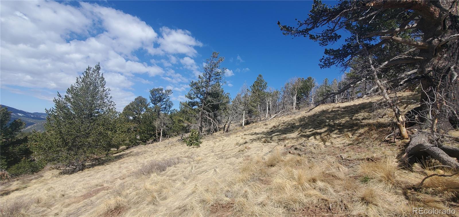 Lot 2740 Newman Place