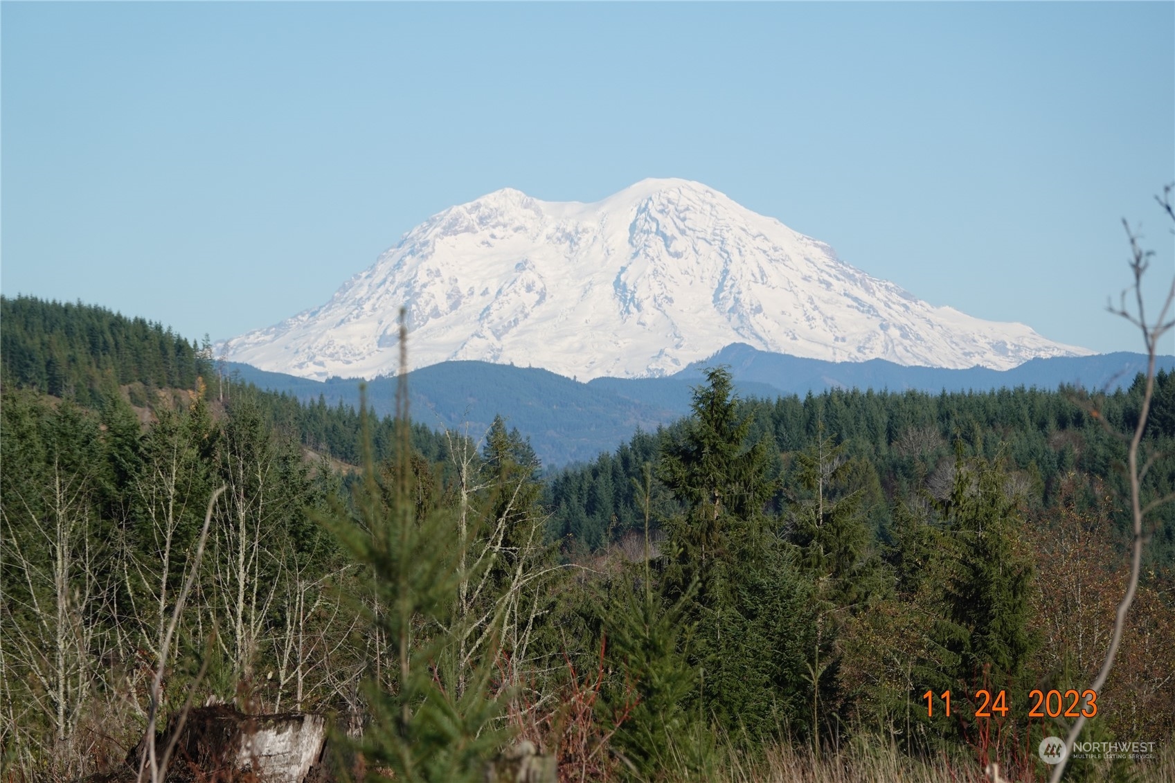 A rare opportunity to own 105± acres of breathtaking PNW wilderness along Salmon Creek. This versatile timber & recreation tract features a mix of young & mature growth, gently rolling topo, & multiple building sites w/territorial & mtn views. Power is nearby, & parcel includes existing access roads, making it suitable for residential, recreational, or long-term forestry investment. Enjoy fishing, hunting, & hiking right on your property. Located just outside Mossyrock, w/easy access to Mayfield Lake, Riffe Lake, & I-5 for convenient travel to Portland or Seattle. Whether you’re seeking a private retreat, future homestead, or income-producing timber investment, the Salmon Creek property delivers unmatched scale, setting, & opportunity.