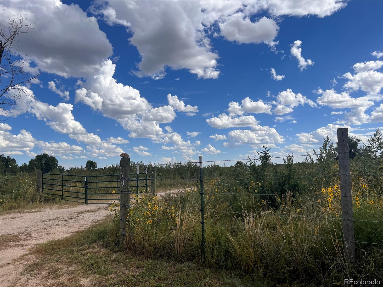 6.85 Acres with Creek Views – Just Outside Limon, Colorado

Discover the perfect blend of convenience and country living with this 6.85-acre property located adjacent to Limon. Boasting beautiful creek views and abundant wildlife, this peaceful and secluded setting offers endless possibilities.

The property is already equipped with town water and sewer service, plus two additional wells for flexibility. A newer 5-wire pasture fence makes it ready for livestock, while subdivision potential adds value for investors.

A basement foundation has been approved for a new home with a combined 2,900 square feet—an excellent head start on your dream build. Basement floor trusses and other building materials included. Whether you’re looking for a family homestead or a smart investment, this property checks all the boxes.

Here you’ll enjoy breathtaking sunrises, colorful sunsets, and wide-open starry nights—all just minutes from the conveniences of town. A true gem in Lincoln County!