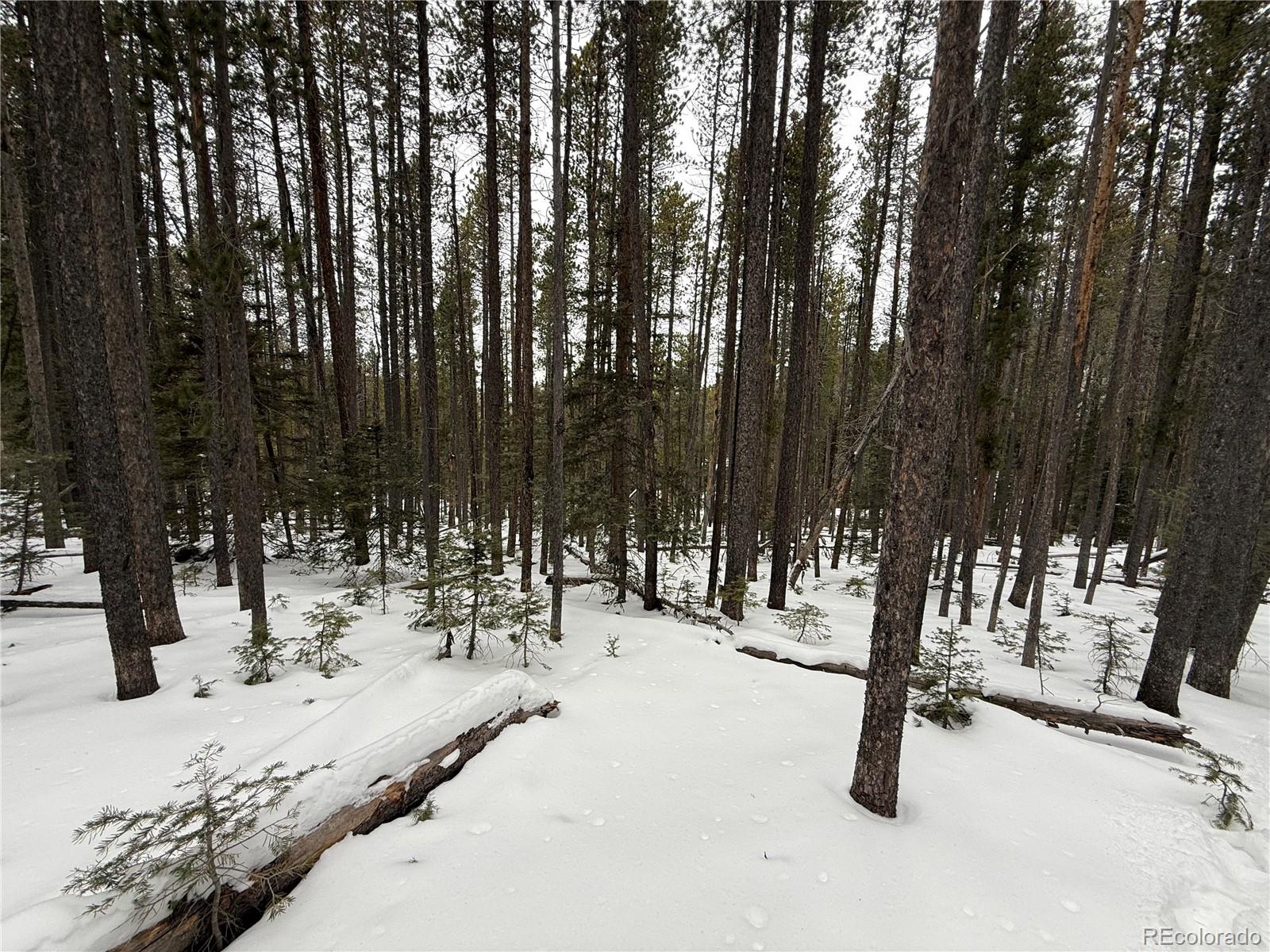 Lot 2805 Moir Drive