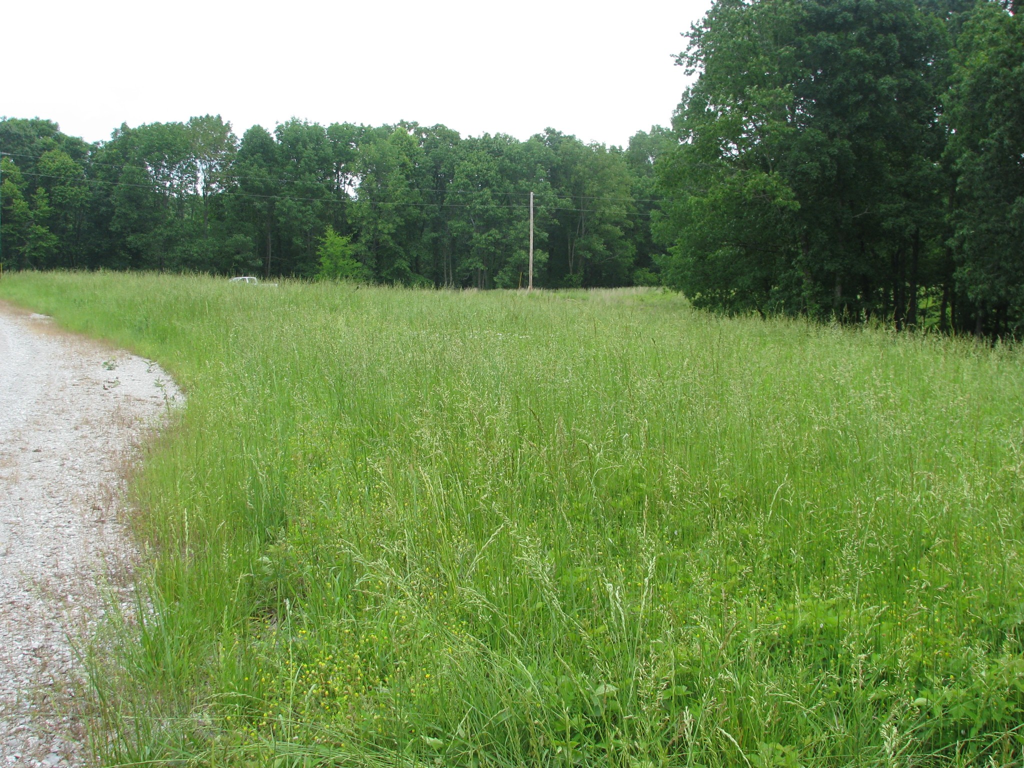0 Barge Lane