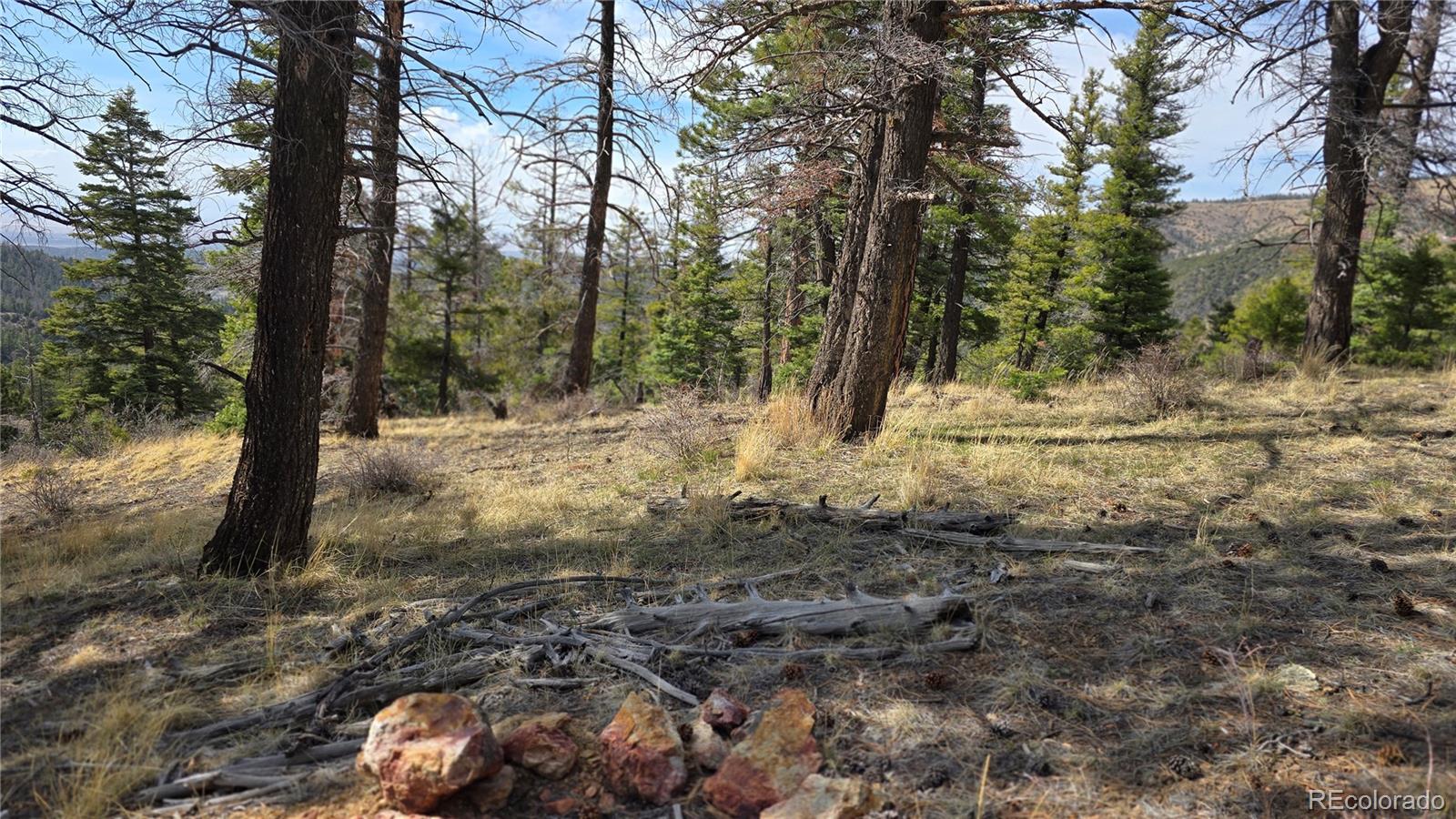 Lot 6070 Vreeland Road