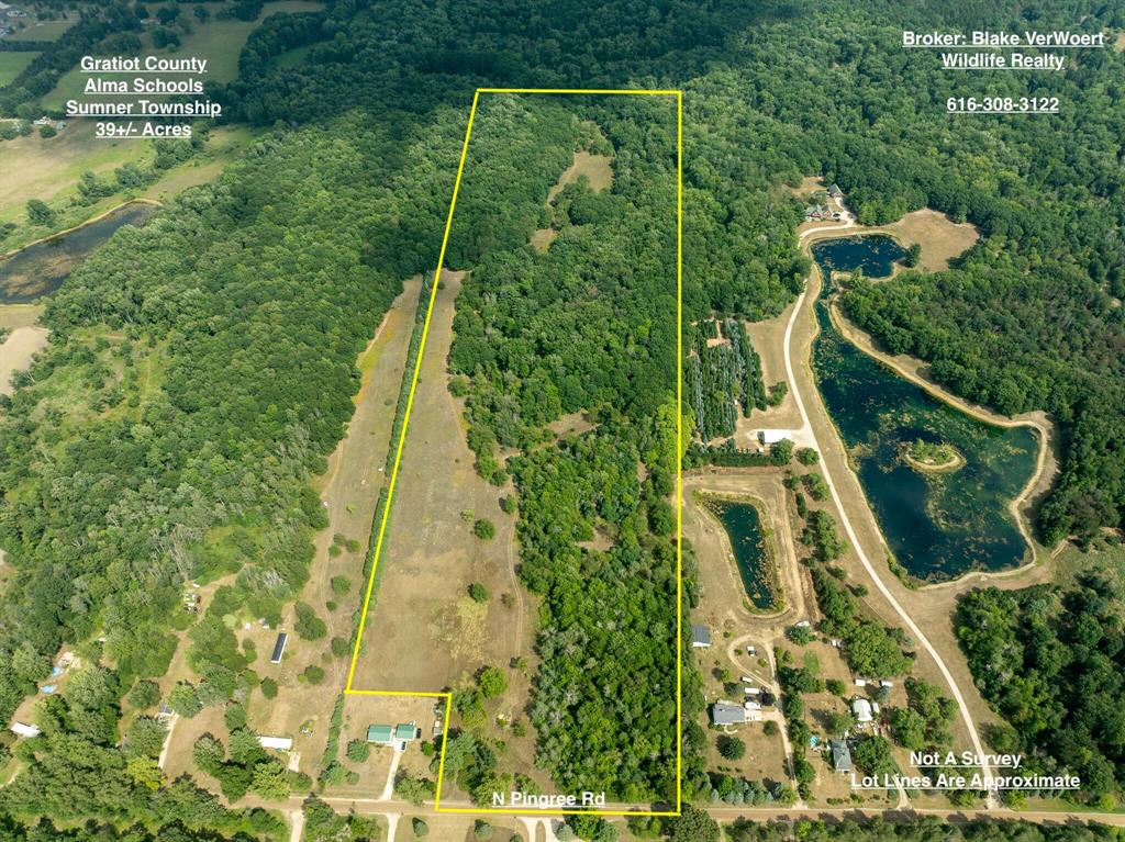 Located in Sumner Township within the Alma School District, this 39-acre property is all high and dry, offering exceptional quality land. A beautiful mix of mature hardwoods and thousands of planted evergreens provides both privacy and natural beauty, all meticulously maintained and manicured over many years. An open area offers the perfect spot to build your dream home, while the property's layout also makes it ideal for a cabin or hunting camp. Known for incredible deer hunting, it comes equipped with a blind already in place. Power is available at the road, and you'll enjoy being close to town while still feeling tucked away in your own private retreat. Current use is Hunting,Other,Recreational,Residential,Tree Farm.