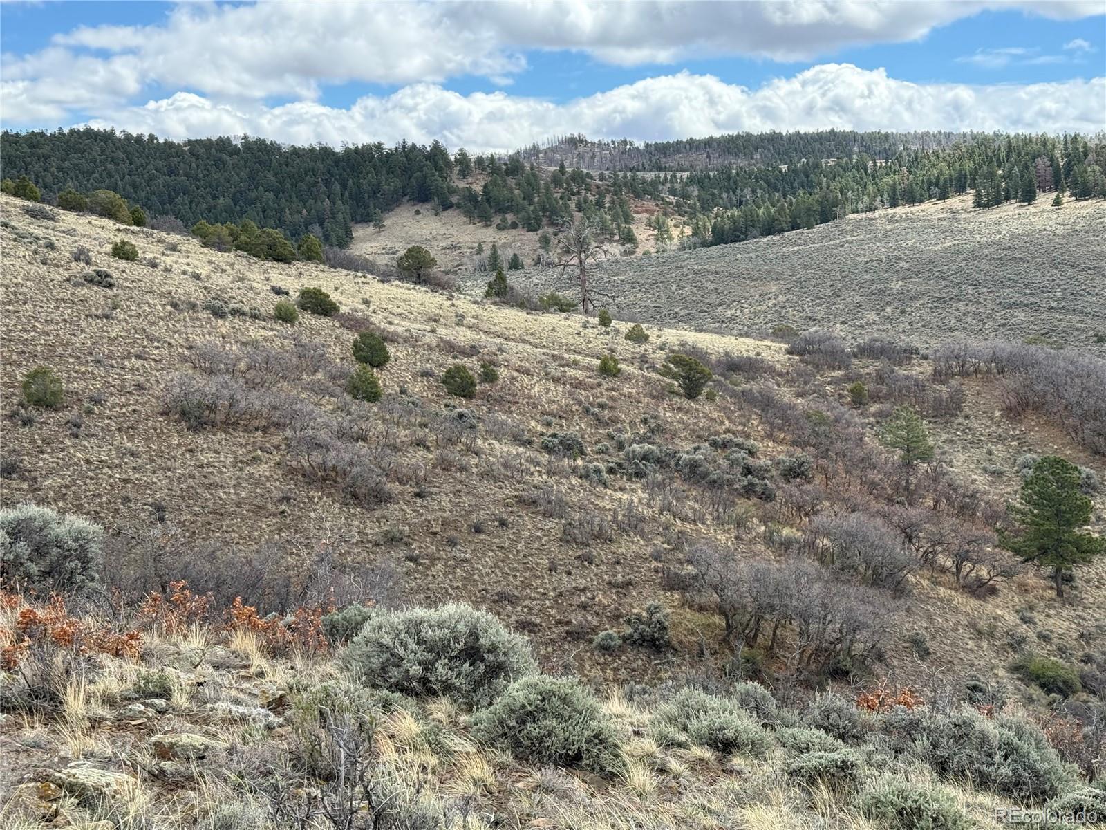 Lot 297 Boothby Lane