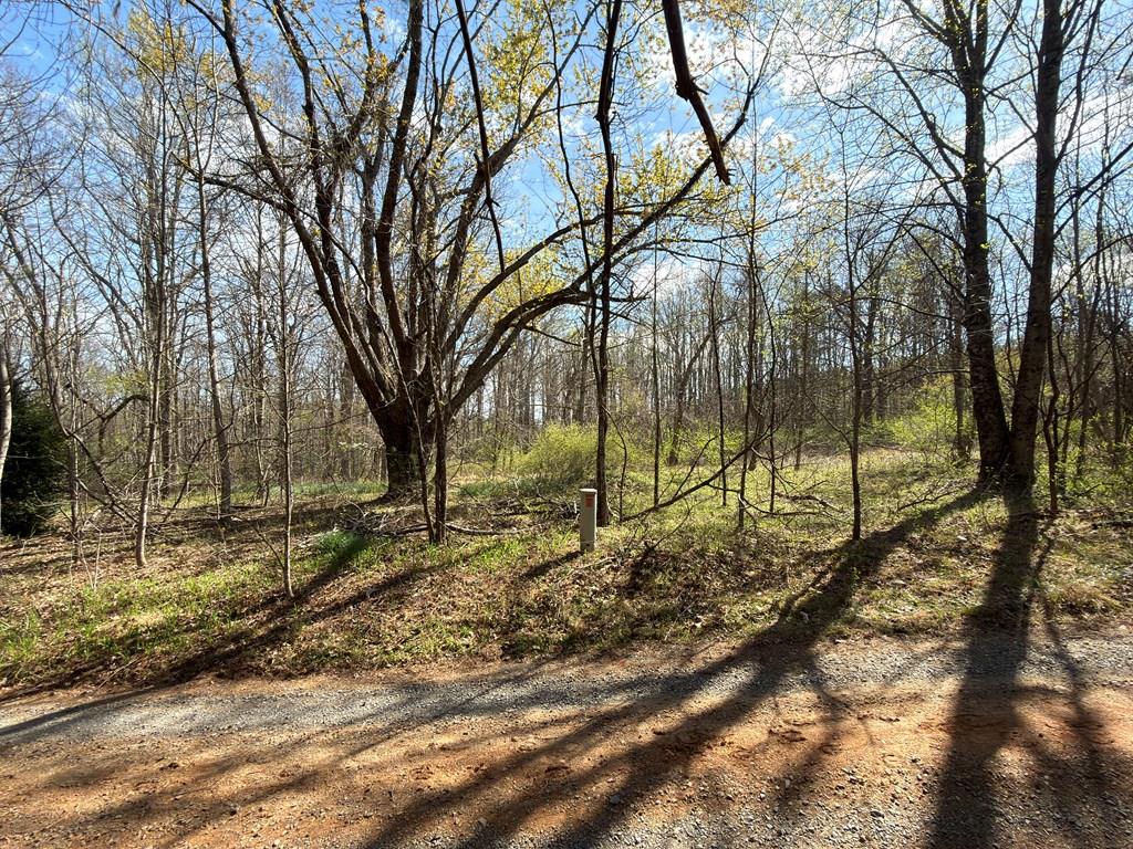 Level 0.8-acre lot offering a blend of wooded privacy and open, usable space, bordering the Blue Ridge Parkway. The property features an excellent building site for a primary residence, second home, or cabin. Also well-suited for recreational use, including a camper or weekend retreat. Enjoy easy access to nearby amenities, scenic views, and outdoor activities, all while being conveniently located less than 15 minutes to Fancy Gap, Meadows of Dan, and I-77.