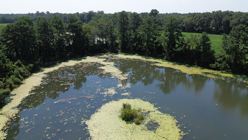 Great Investment for Living! Build a home in the back where it is nice and private.  220 Dillon Rd.- Country Farm with 2 ponds on 28 acres zoned AG and partially R3.  City of Thomasville Water.   Property is adjacent to  RM11, AG, CL, and R-3, Zoned property.  In addition to 270'+ frontage on Dillon Road, the property has ingress/egress right across a private road to the west.  Multiple Home Sites possible.  Retriever Training Tract with some pond modifications.   Good Tifton Soil for pasture, planting, or pine trees.  Some Deer and other wildlife (Gator spotted in pond.)  Pond Birds, Ducks. Dove, Turkey.  This property could make one nice dove field for sure.   Nice little hunting tract close to Thomasville.  Future Transitional Value - as Thomasville grows out 319 this property will likely transition into another higher and better use.  City Water is already at the property.  Very private setting in the back of the property.  Towering  Pines. Hilltop Views down on the ponds,, Wild Grapes and Persimmons.  Producing Pecan Trees at the front of the property on Dillon Road.  Large Shed.  Minutes to Downtown Thomasville.  Crop Land Leased year to year.  Check out the deer pics!  Shop on 1 acer in front of this 28 acers is also for sell seperatly.  Youtube Video available and Land ID Link available.